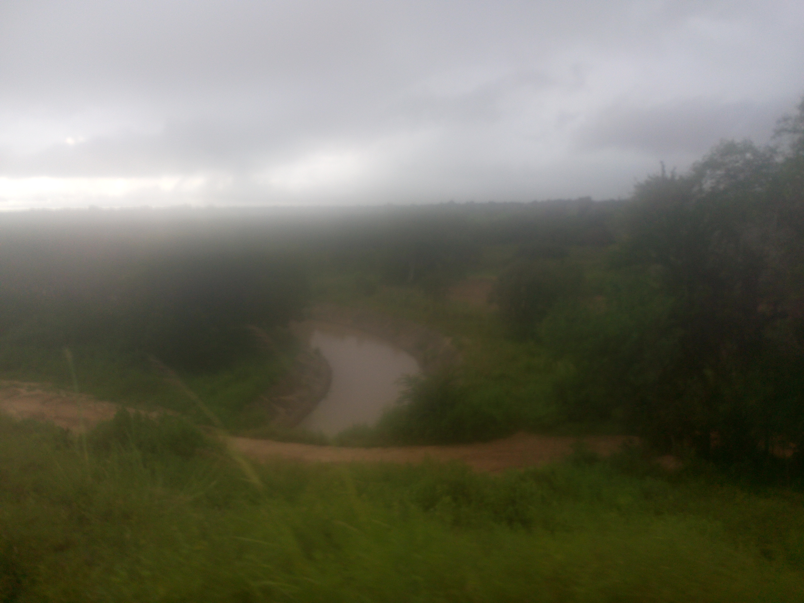 Rice farms submerged in Navrongo following Tono dam spillage.