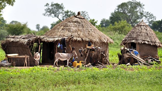 Fulani are semi-nomadic herdersPhoto credit: Getty Images
