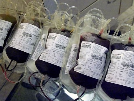 Blood