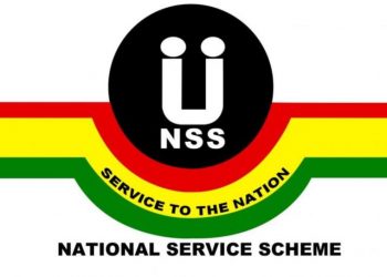 nss logo
