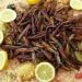 Locusts