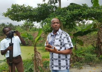 Issa Ouedraogo, CEO of B-BOVID.