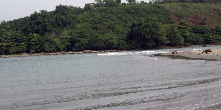 Tano River
