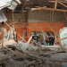 Trade fair company structure demolished