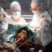 Violinist Dogmar Turner underwent brain surgery while playing her violin