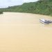 BC_ Galamsey in Ellembelle ravages Ankobra, Subile rivers5