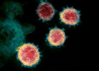 Coronavirus