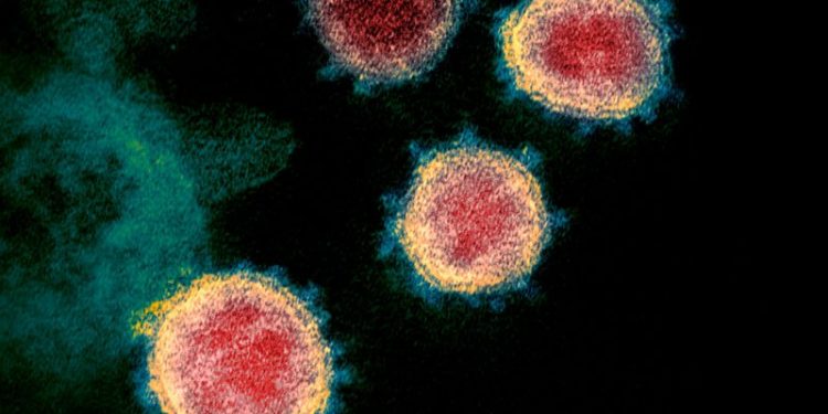 Coronavirus