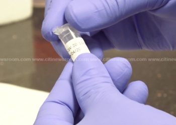 sample for coronavirus testing