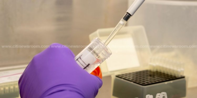 coronavirus testing at the veterinary services directorate16