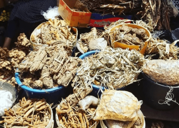 herbal ingredients