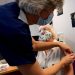 There is no current evidence to suggest that the new variant is affected any differently by vaccines
