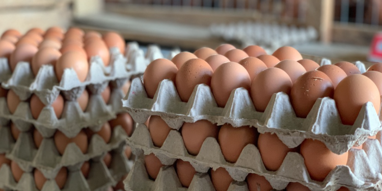 Eggs