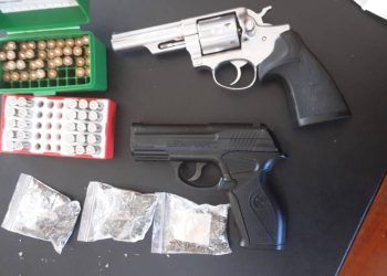 Confisticated guns