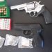 Confisticated guns