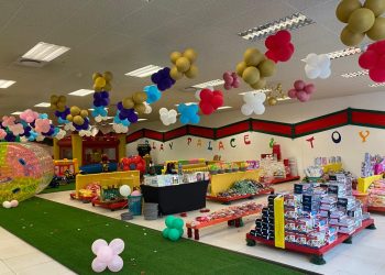 The ARC Children's Play Place