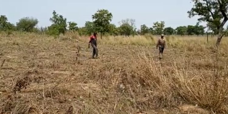 The Pwalugu Multipurpose dam project site