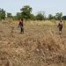 The Pwalugu Multipurpose dam project site