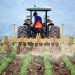 Wiki Commons: Farmer and tractor tilling soil
