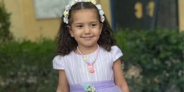 Hind Rajab, 6, was trying to escape to the west of Gaza City when the car she was travelling in came under fire