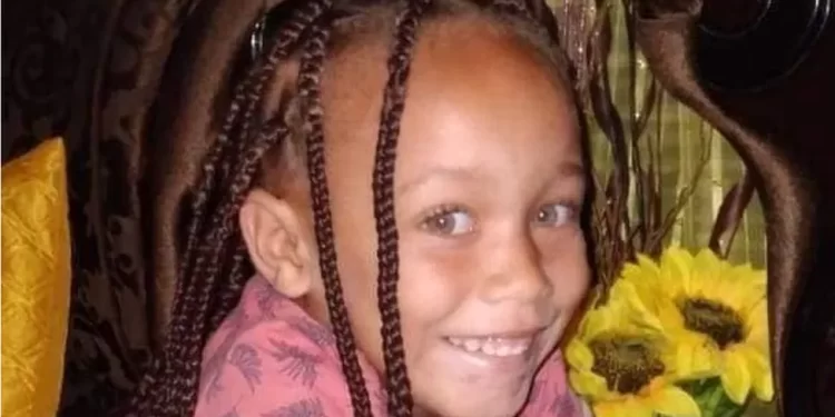 A 100,000 rand ($5,200; £4,100) reward has been offered to anyone with information on Joslin's whereabouts