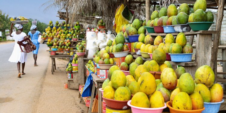 Verkaufsstände mit Mangofrüchten in der Mangoregion bei Somanya in der Eastern-Region im Osten von Ghana in Westafrika