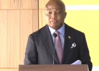 Foreign Affairs Minister, Samuel Okudzeto Ablakwa