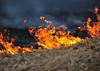 Arson
