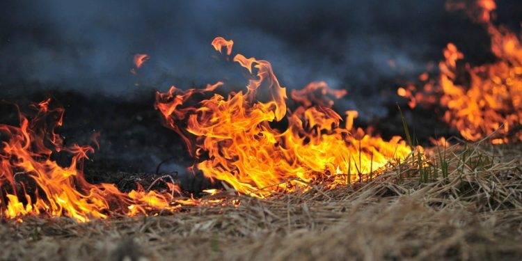 Arson