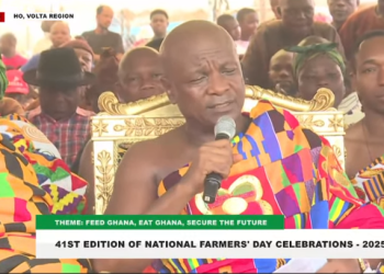 Togbe Afede XIV, Agbogbomefia of the Asogli State and President of the Asogli Traditional Area