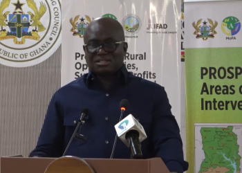 Minister of Food and Agriculture, Eric Opoku