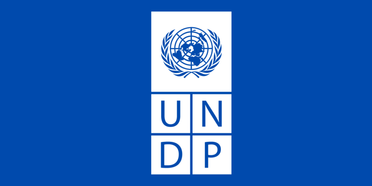 UNDP logo