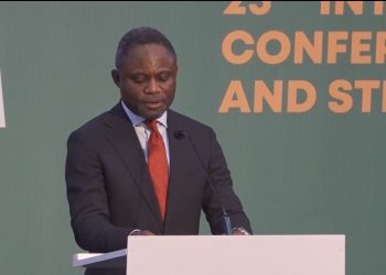 Health Minister Akandoh