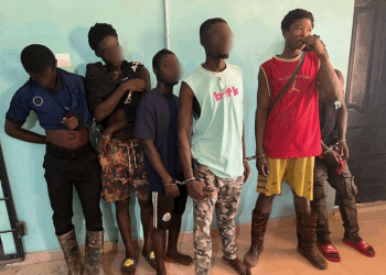 Some of the arrested suspects