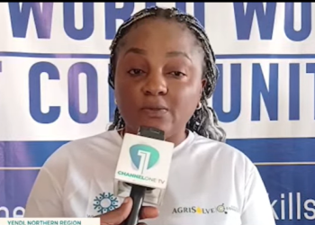 Executive Director of AgriSolve, Elorm Goh,