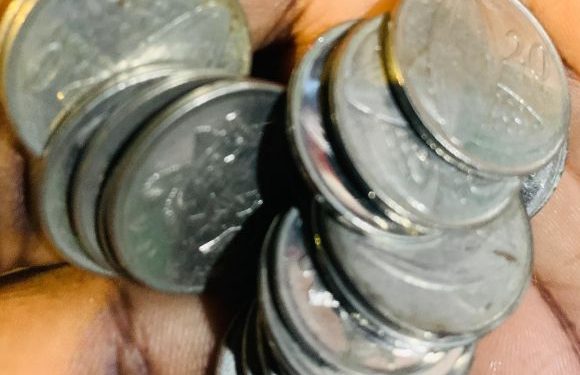 20 pesewa coins