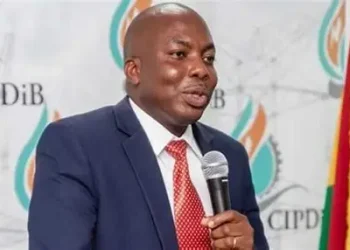 Chief Executive Officer of the Independent Power Generators Ghana (IPGG), Dr. Elikplim Apetorgbor
