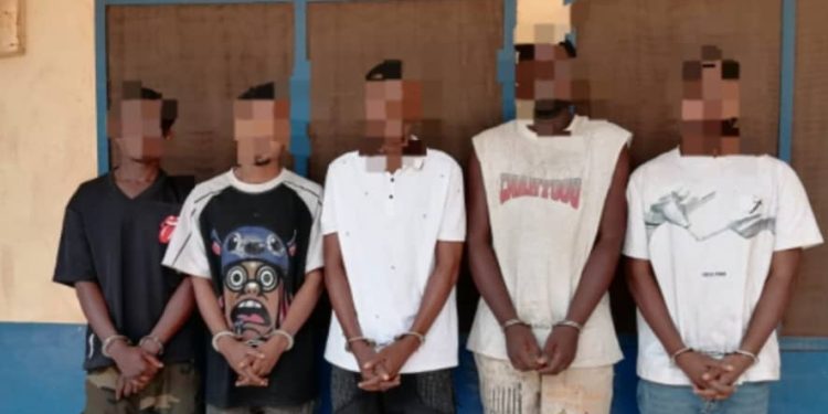 The arrested suspects