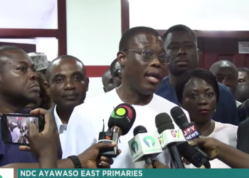 Fifi Kwetey, NDC General Secretary