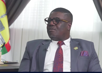 Majority Chief Whip, Rockson-Nelson Dafeamekpor