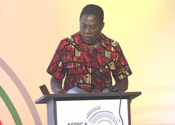 Commissioner for Health, Humanitarian Affairs and Social Development at the African Union Commission (AUC), Ama Twum-Amoah