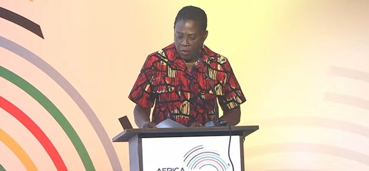 Commissioner for Health, Humanitarian Affairs and Social Development at the African Union Commission (AUC), Ama Twum-Amoah