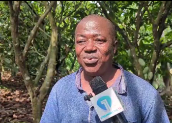 Nana Owusu Asim Panin II, opinion leader of the Huu Akwanserem community