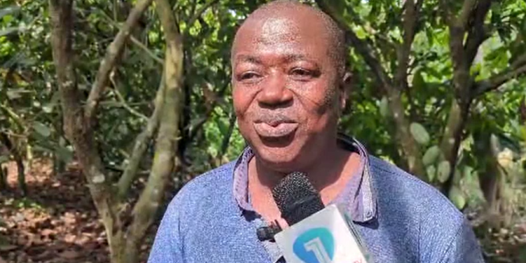 Nana Owusu Asim Panin II, opinion leader of the Huu Akwanserem community