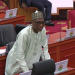 Minister for the Interior, Mohammed Mubarak Muntaka