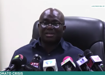 Eric Opoku, Agric Minister