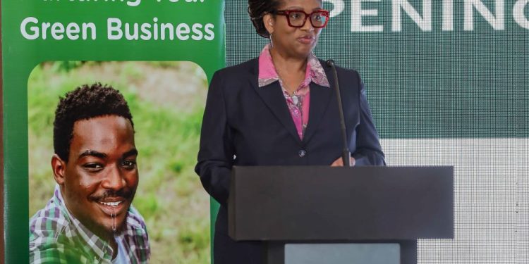 Pearl Esua-Mensah, Executive Director of GCIC