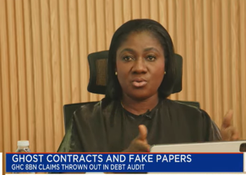 Akosua Manu, Aide to the 2028 flagbearer of the New Patriotic Party (NPP)