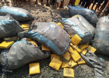 The seized cannabis concealed in charcoal bags
