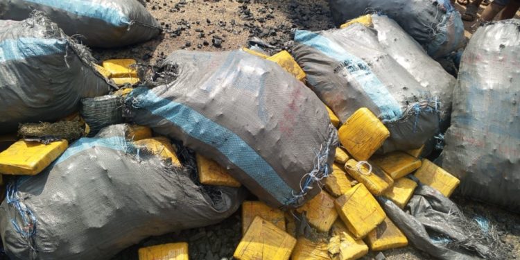 The seized cannabis concealed in charcoal bags